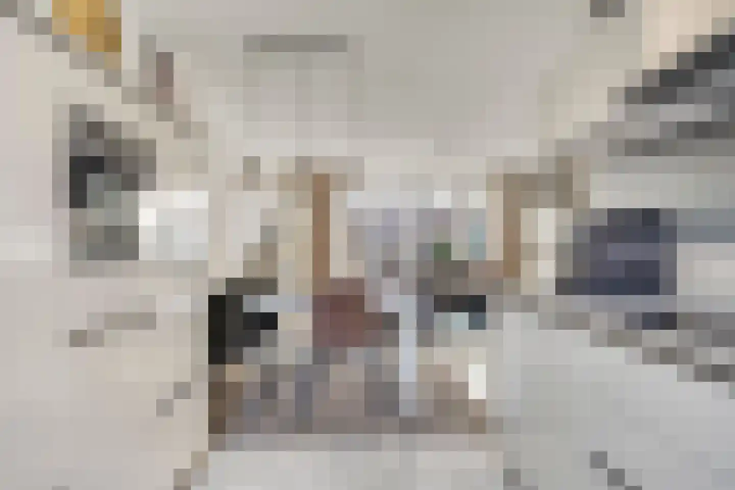 Eli Heimanslaan 6 Zwolle thumbnail 10