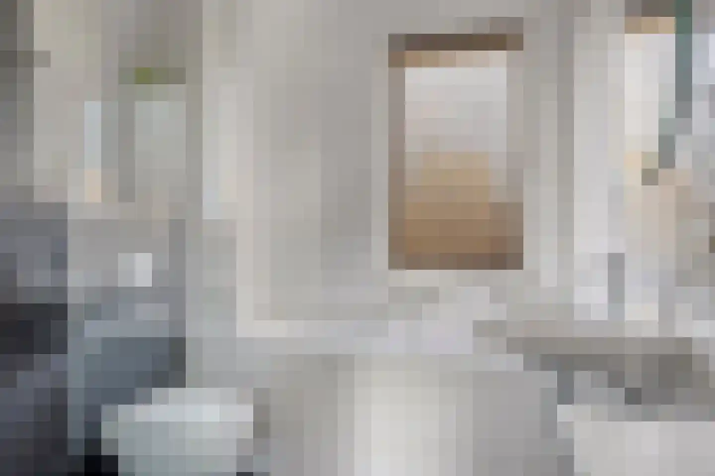 Eli Heimanslaan 6 Zwolle thumbnail 21
