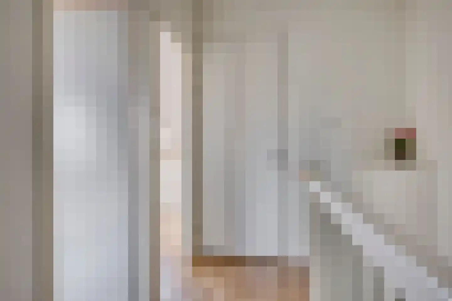 Eli Heimanslaan 6 Zwolle thumbnail 26