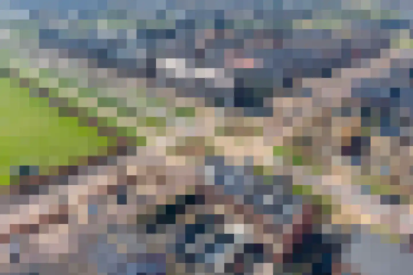 Eli Heimanslaan 6 Zwolle thumbnail 37