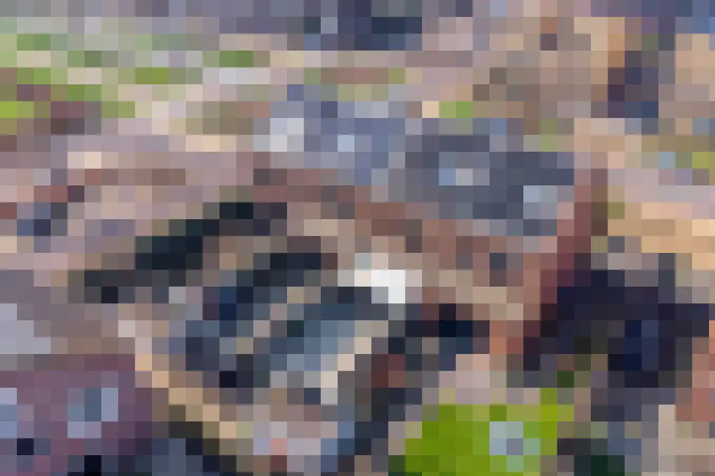 Eli Heimanslaan 6 Zwolle thumbnail 4