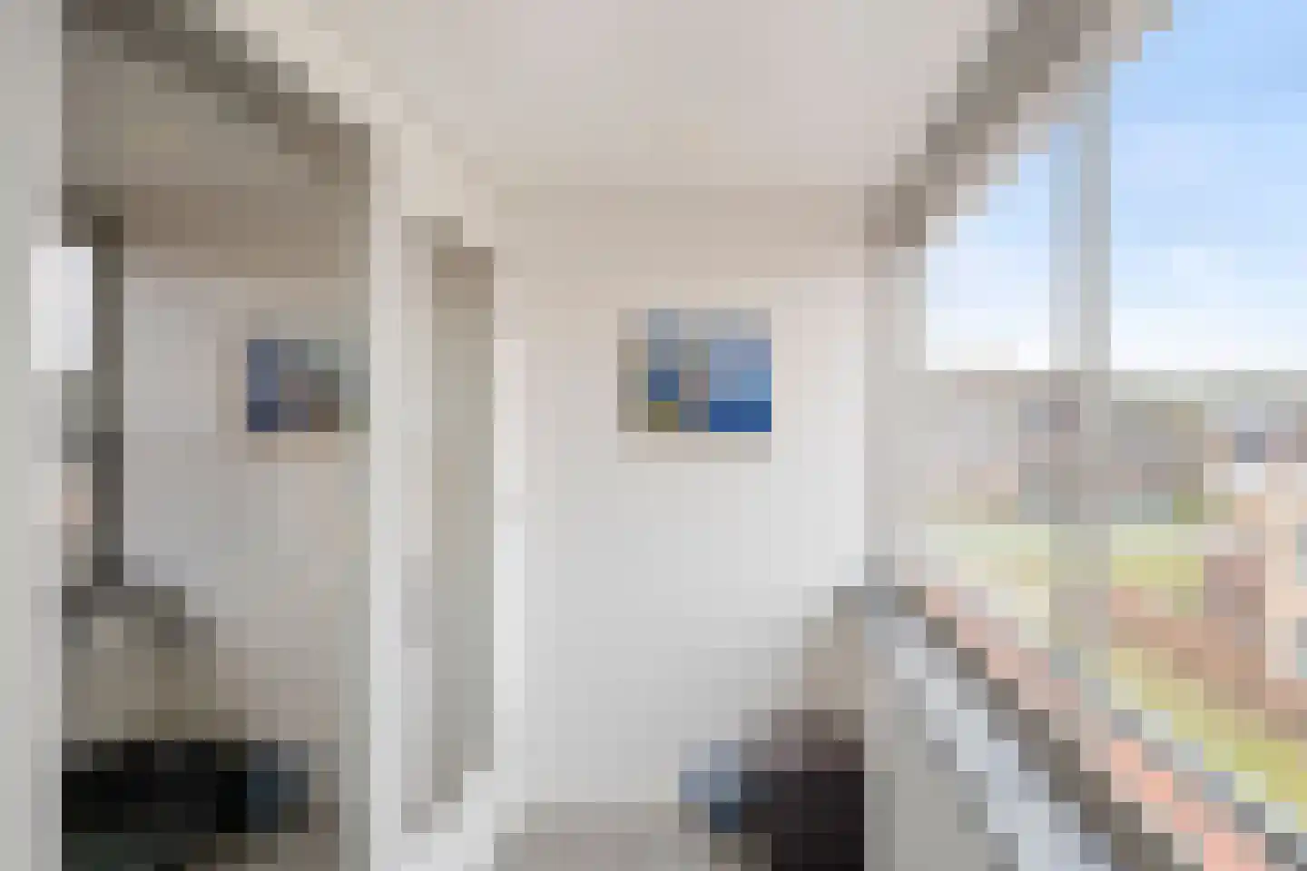 Elias Beeckmanlaan 294 Ede thumbnail 11