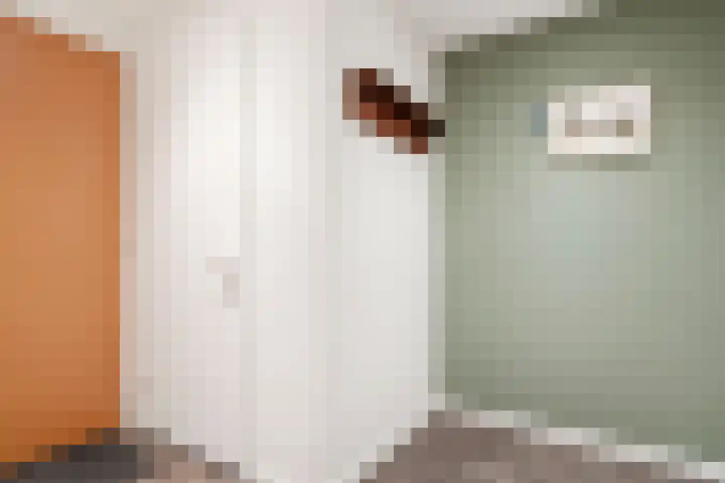 Elias Beeckmanlaan 294 Ede thumbnail 19
