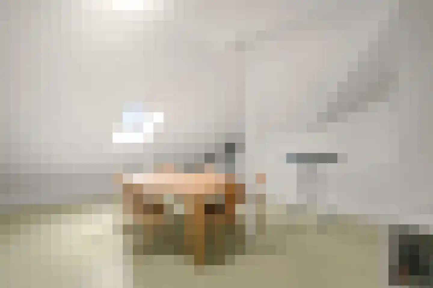 Elias Beeckmanlaan 294 Ede thumbnail 27