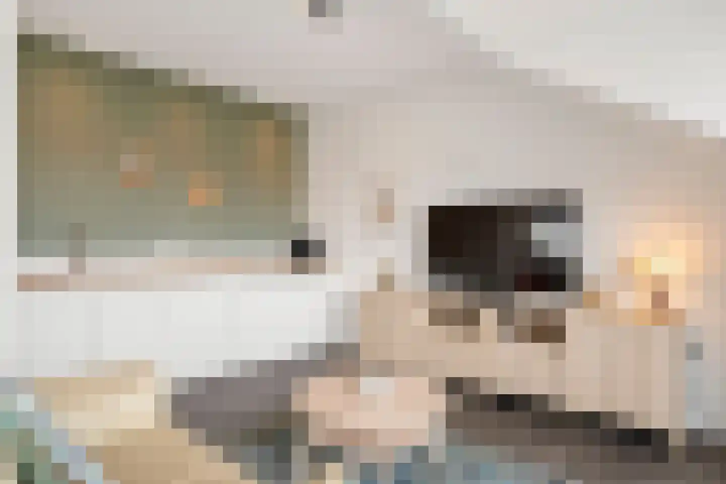 Elias Beeckmanlaan 294 Ede thumbnail 6
