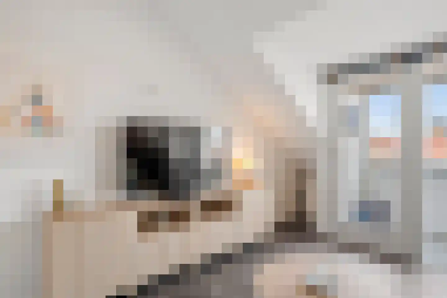 Elias Beeckmanlaan 294 Ede thumbnail 7