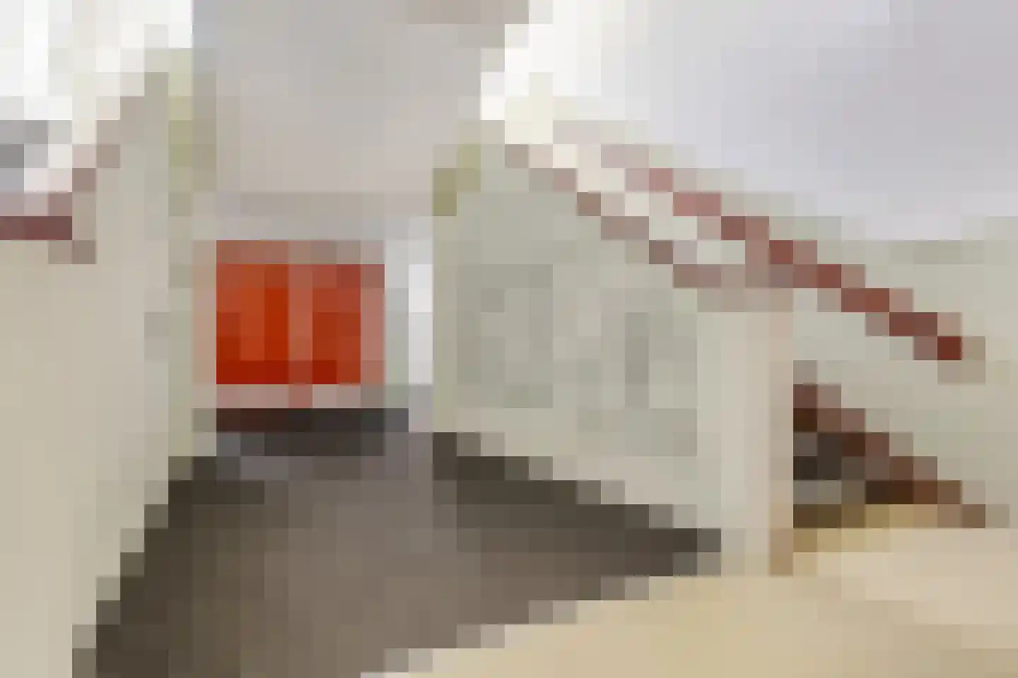 Elias Beeckmanlaan 54 Ede thumbnail 36