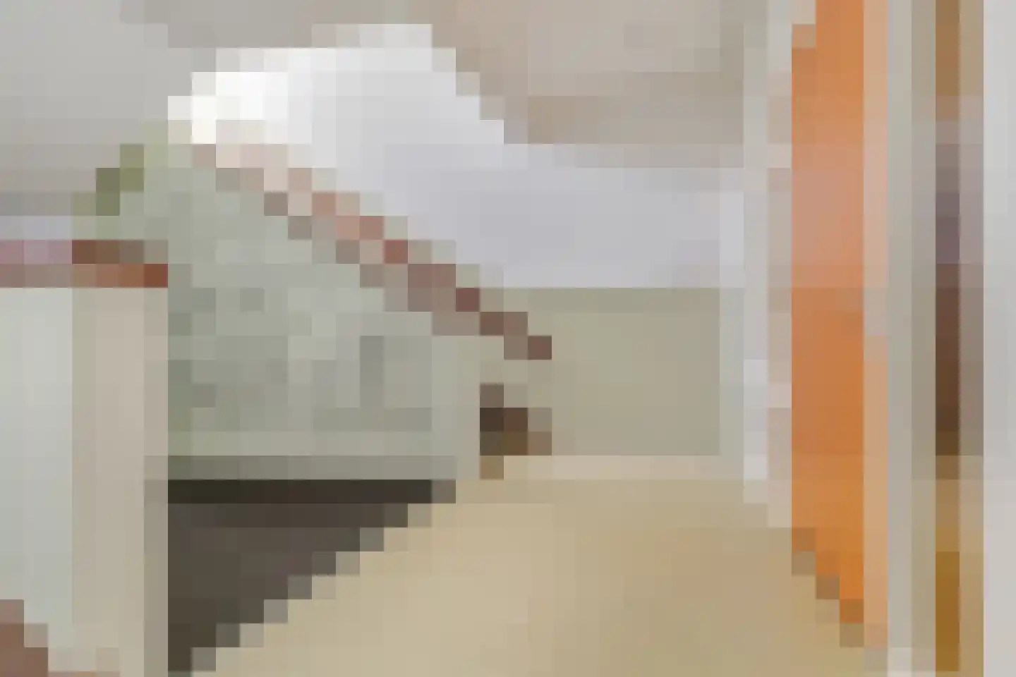 Elias Beeckmanlaan 54 Ede thumbnail 37