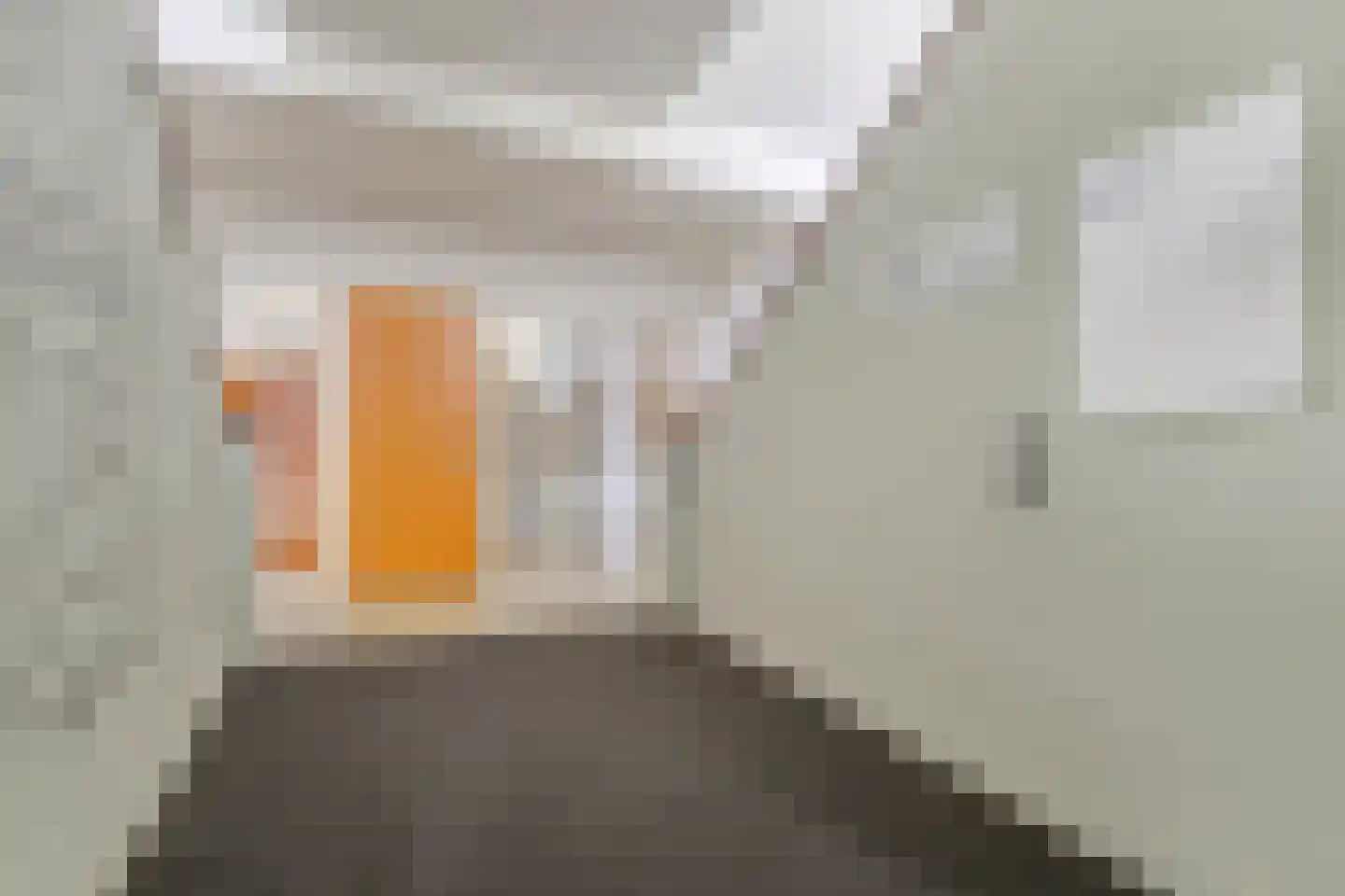 Elias Beeckmanlaan 54 Ede thumbnail 38