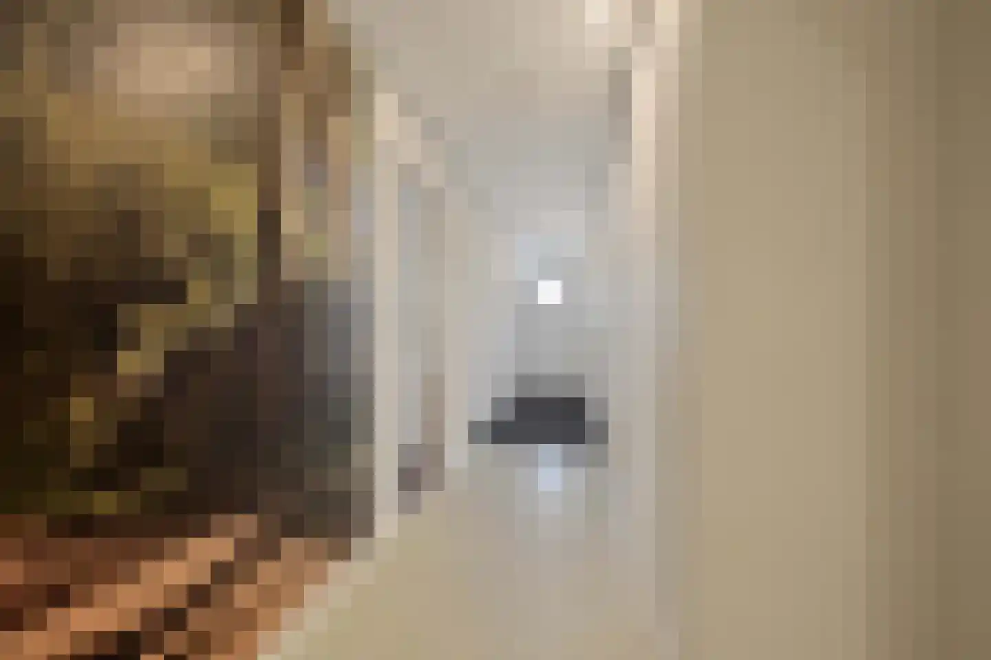Elias Beeckmanlaan 56 Ede thumbnail 25