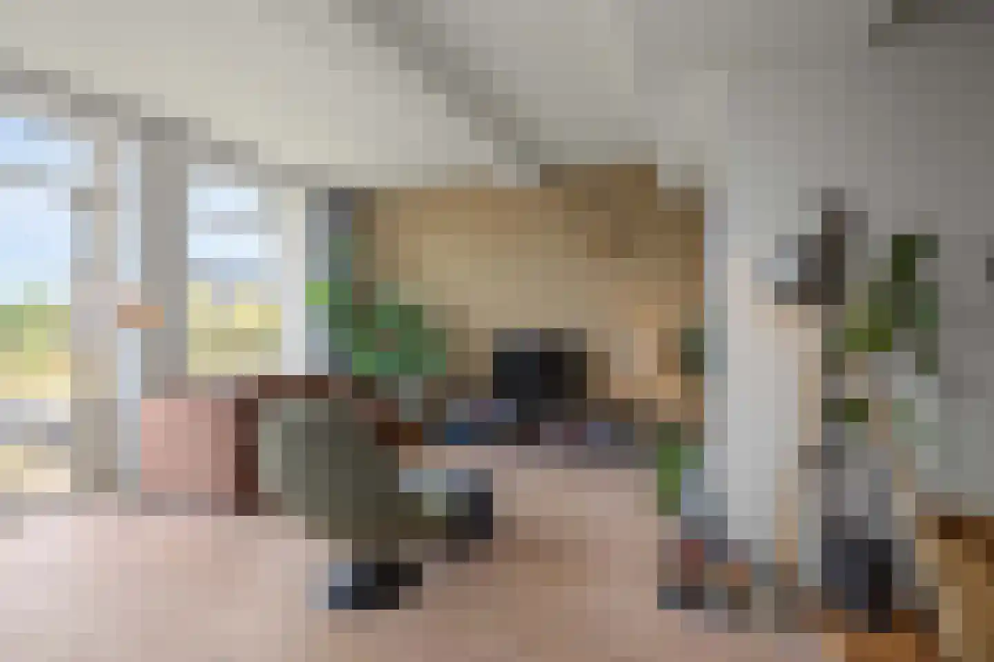 Elias Beeckmanlaan 56 Ede thumbnail 8