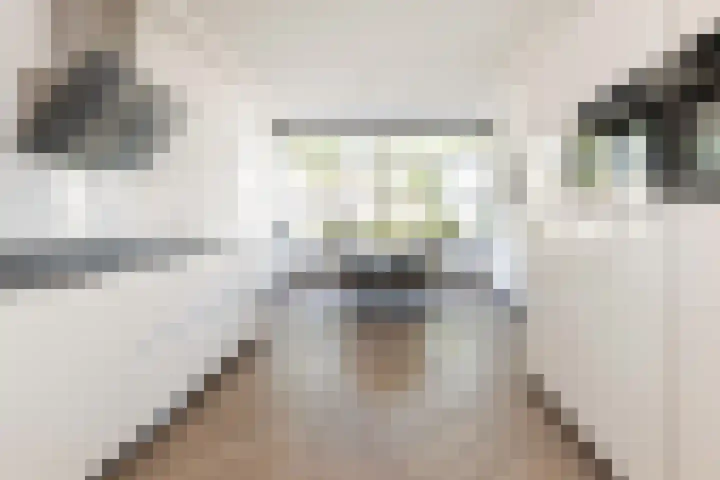 Elias Beeckmanstraat 28 Wezep thumbnail 13