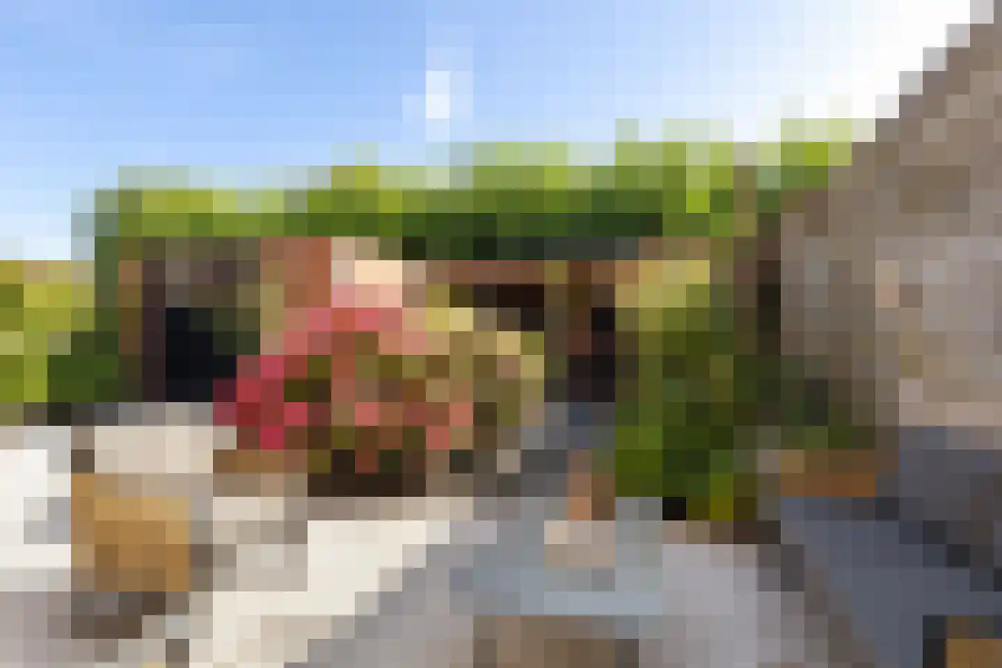 Elias Beeckmanstraat 28 Wezep thumbnail 36