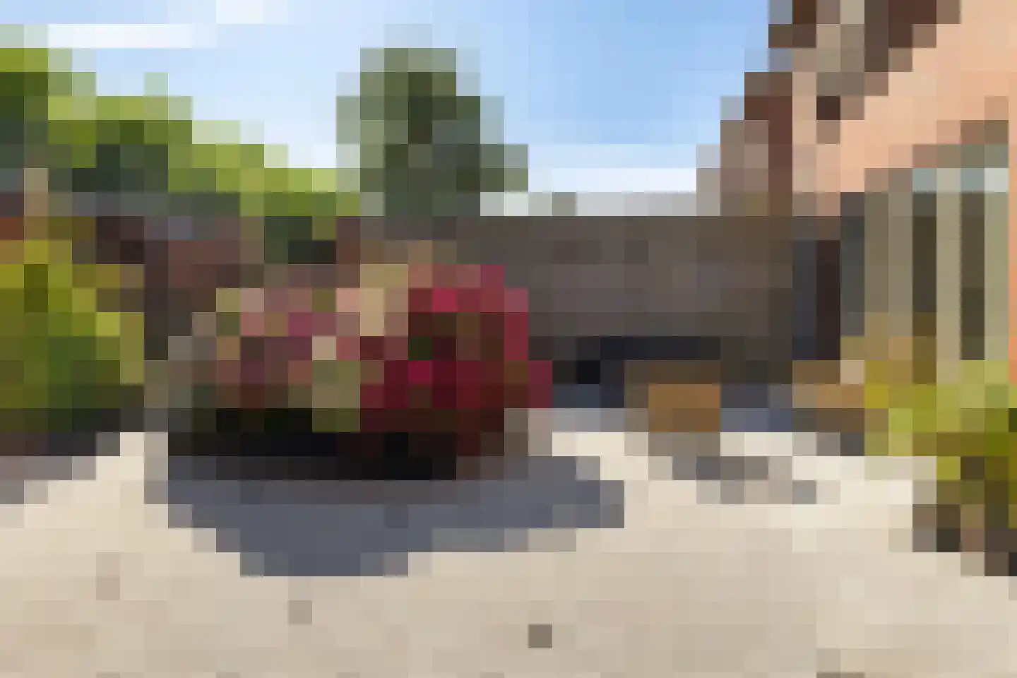 Elias Beeckmanstraat 28 Wezep thumbnail 37