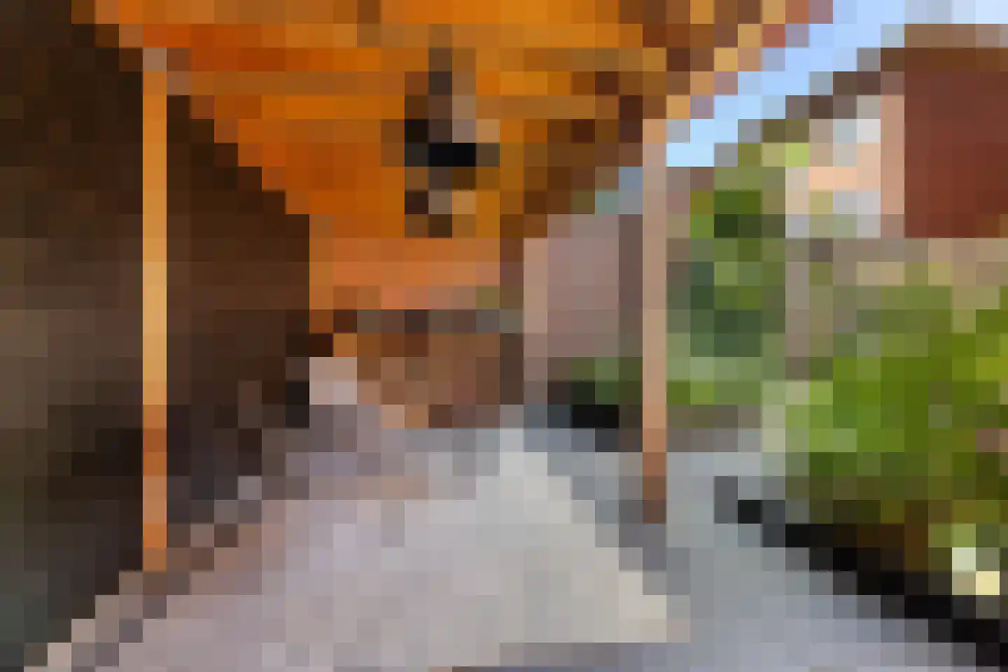 Elias Beeckmanstraat 28 Wezep thumbnail 39