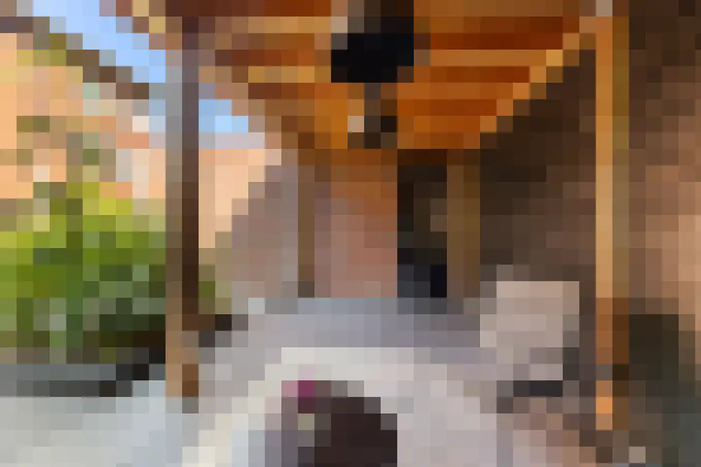 Elias Beeckmanstraat 28 Wezep thumbnail 40