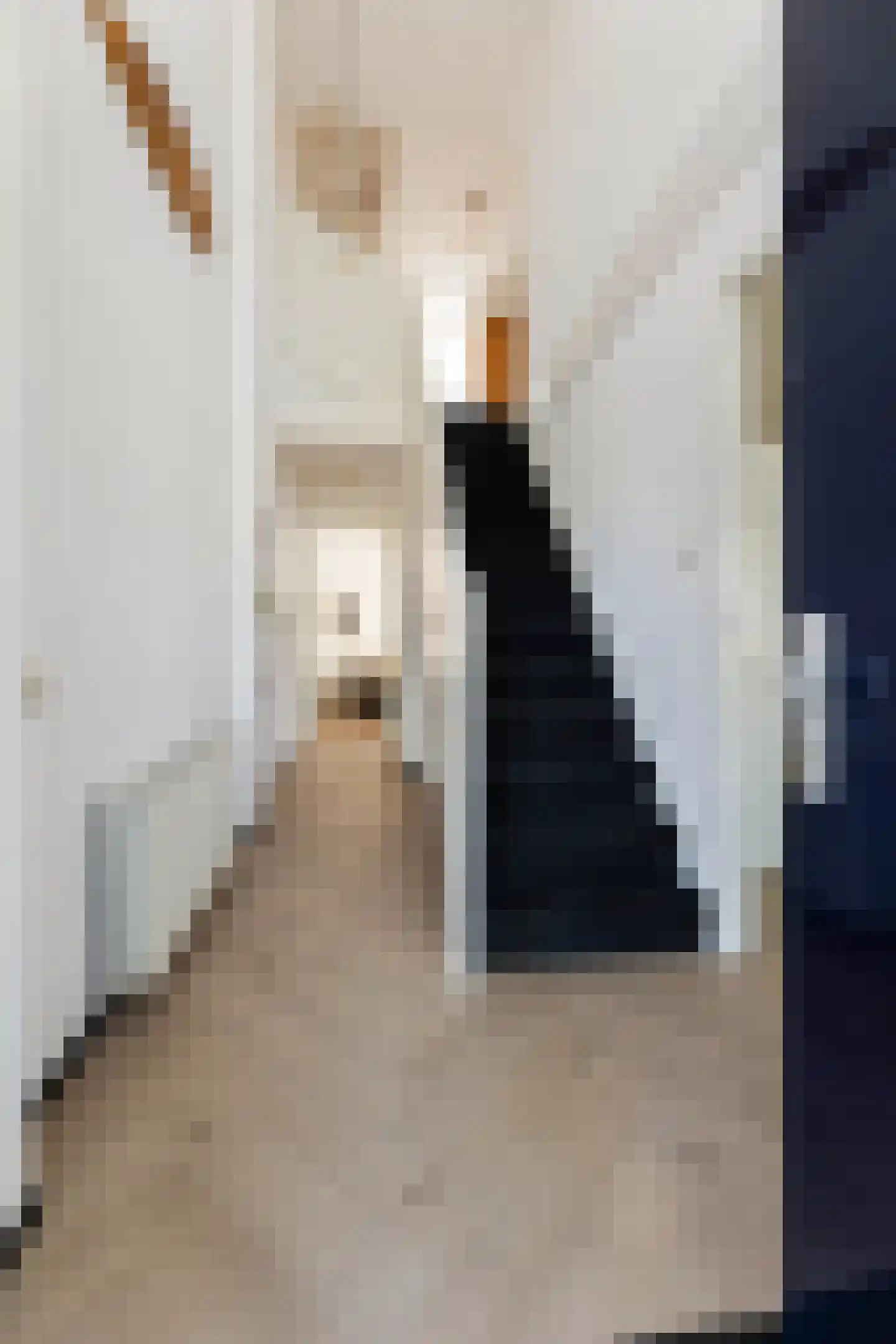 Elias Beeckmanstraat 28 Wezep thumbnail 6