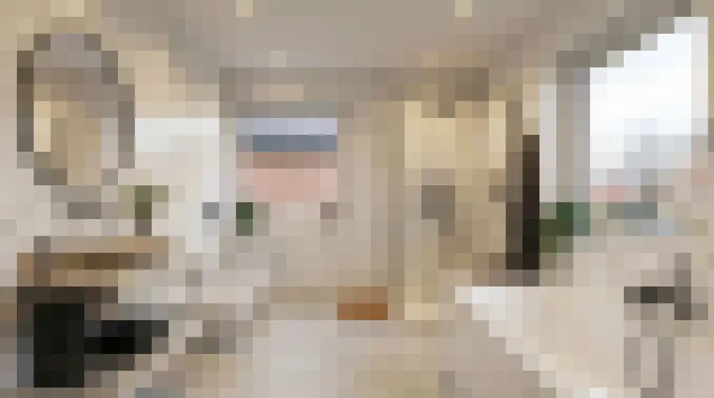 Eliasdreef 2 Poeldijk thumbnail 35