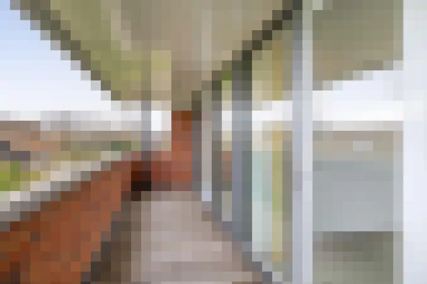 Eliasdreef 2 Poeldijk thumbnail 39