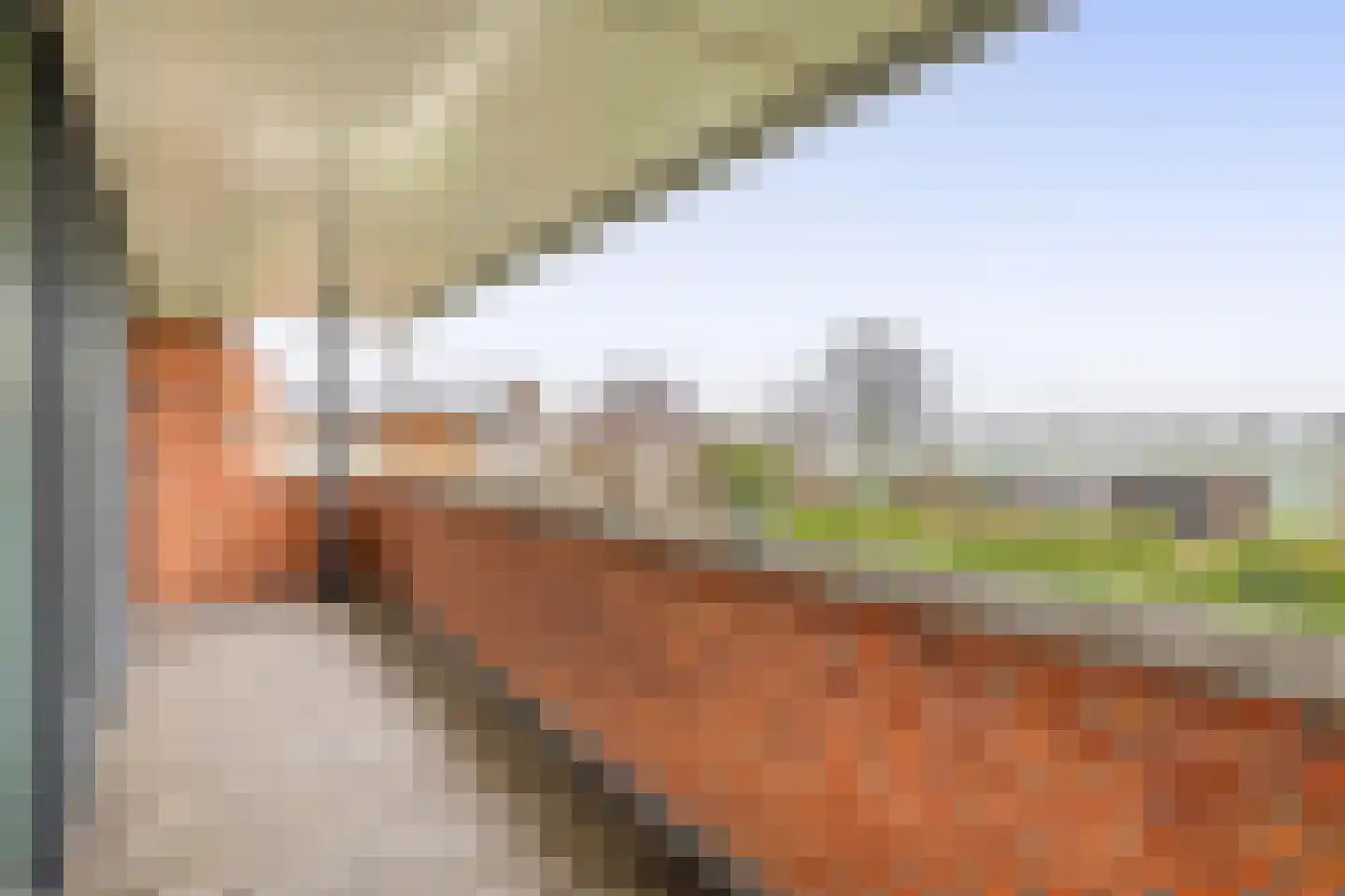 Eliasdreef 2 Poeldijk thumbnail 40