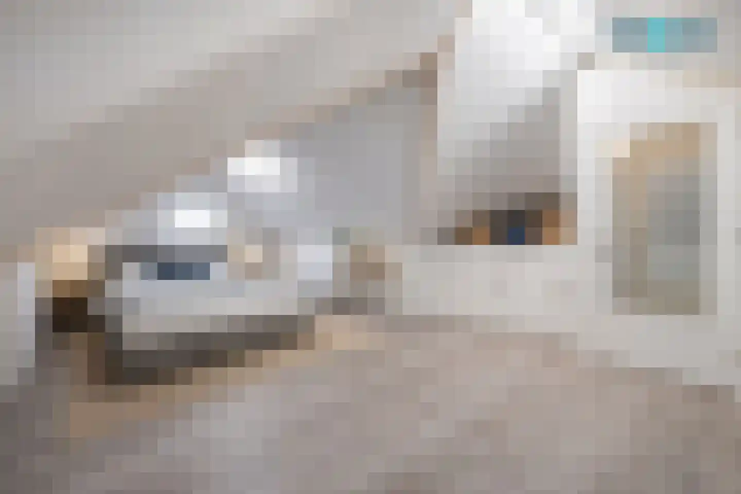 Eliasdreef 2 Poeldijk thumbnail 47