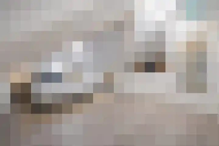 Eliasdreef 2 Poeldijk thumbnail 47