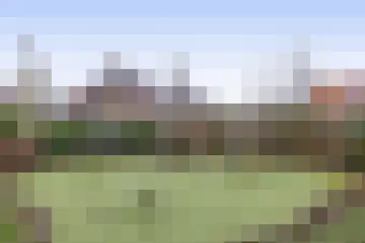 Eliasdreef 2 Poeldijk thumbnail 61