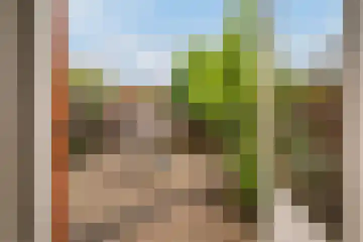 Eliasdreef 40 Poeldijk thumbnail 22