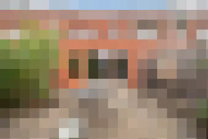 Eliasdreef 40 Poeldijk thumbnail 23