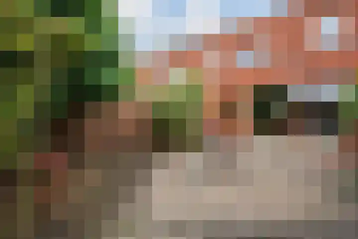 Eliasdreef 40 Poeldijk thumbnail 24