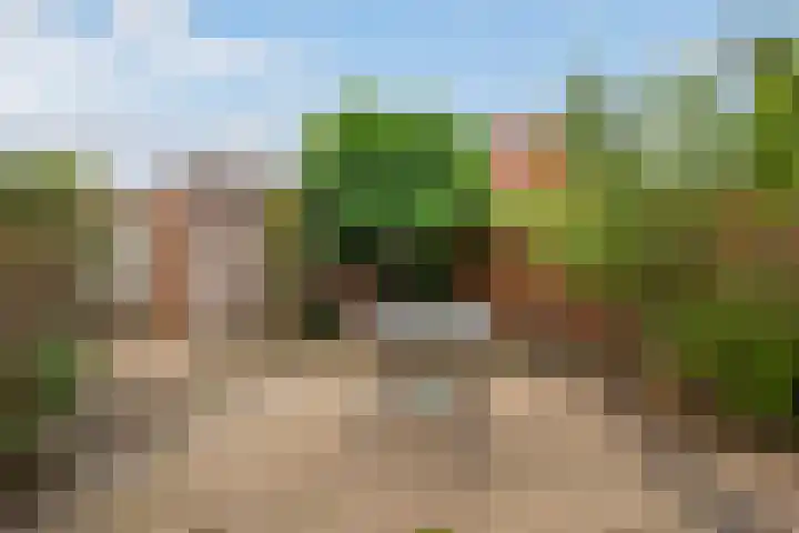 Eliasdreef 40 Poeldijk thumbnail 4