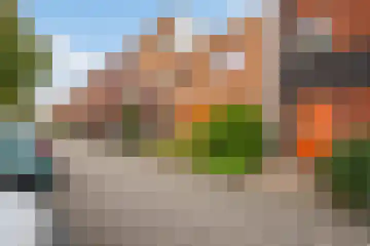 Eliasdreef 40 Poeldijk thumbnail 46