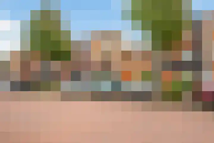 Eliasdreef 40 Poeldijk thumbnail 47