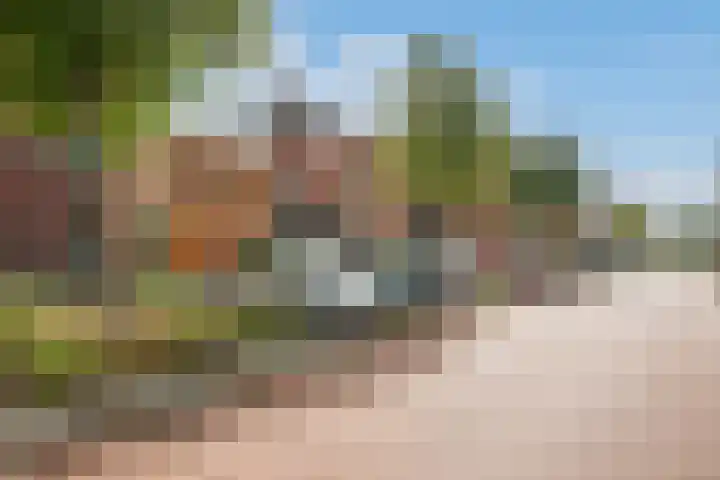 Eliasdreef 40 Poeldijk thumbnail 48