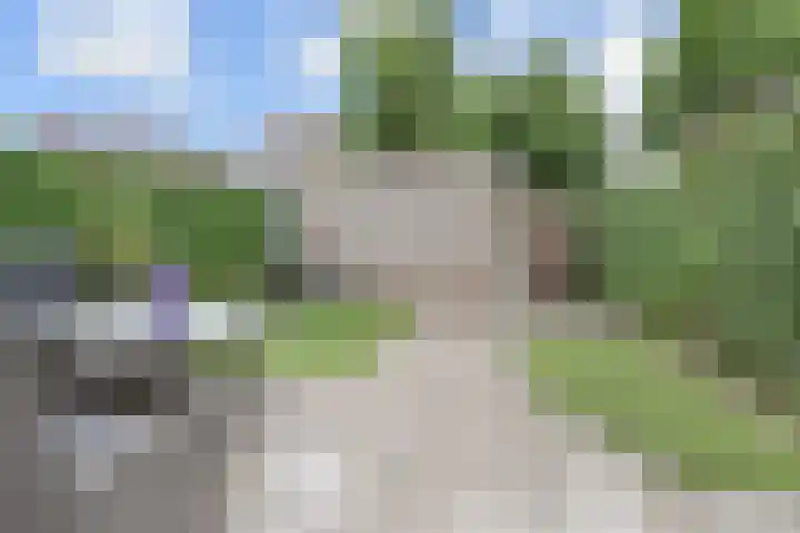 Eliasdreef 70 Poeldijk foto 3