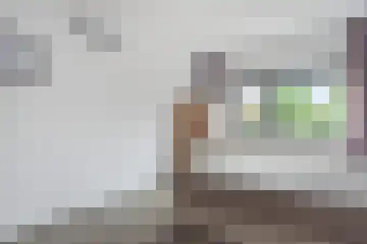 Eliasdreef 70 Poeldijk thumbnail 37