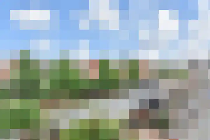 Eliasdreef 70 Poeldijk thumbnail 53