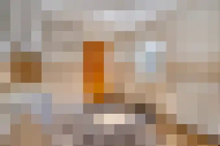 Eliasstraat 3 Wijchen thumbnail 10
