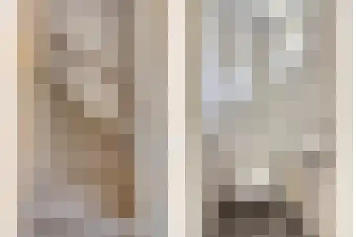 Eliasstraat 3 Wijchen thumbnail 11