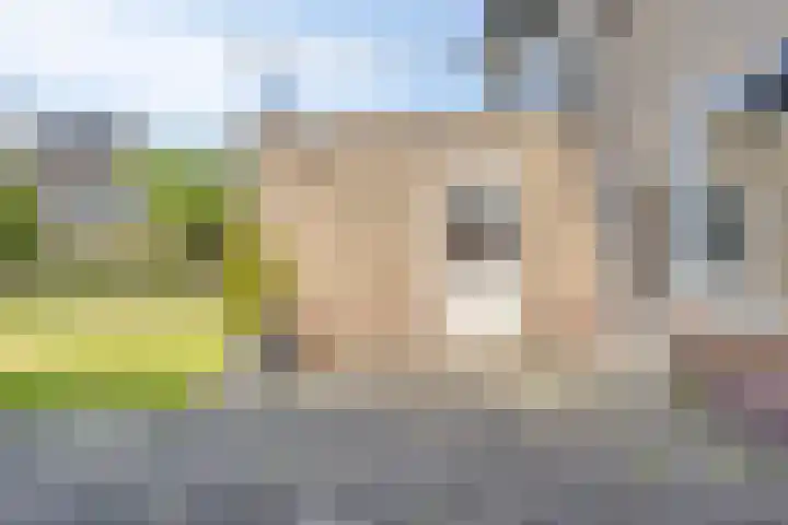 Eliasstraat 3 Wijchen thumbnail 21