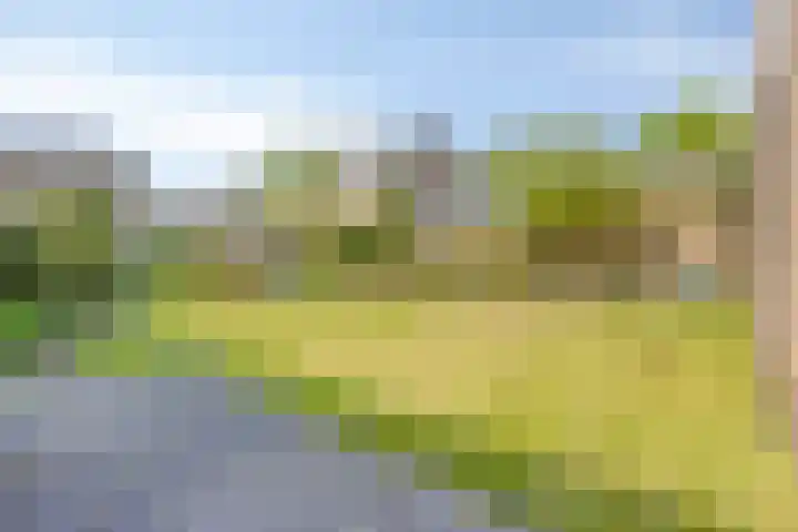 Eliasstraat 3 Wijchen thumbnail 22