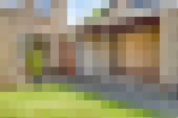 Eliasstraat 3 Wijchen thumbnail 23