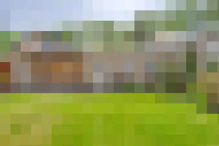 Eliasstraat 3 Wijchen thumbnail 24