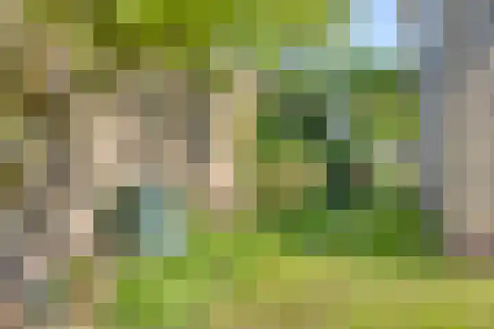Eliasstraat 3 Wijchen thumbnail 25