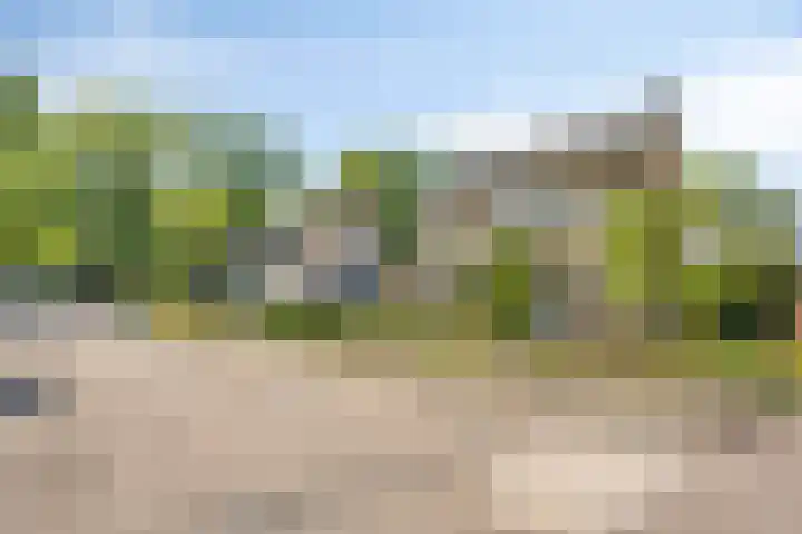 Eliasstraat 3 Wijchen thumbnail 27