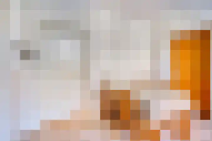 Eliasstraat 3 Wijchen thumbnail 8