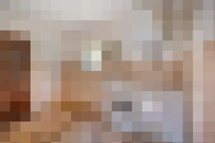 Eliasstraat 3 Wijchen thumbnail 9