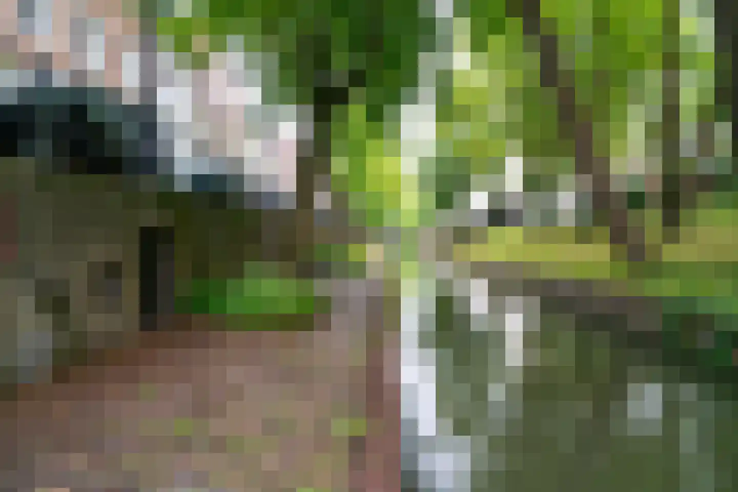 Eligenstraat 33 Utrecht thumbnail 27