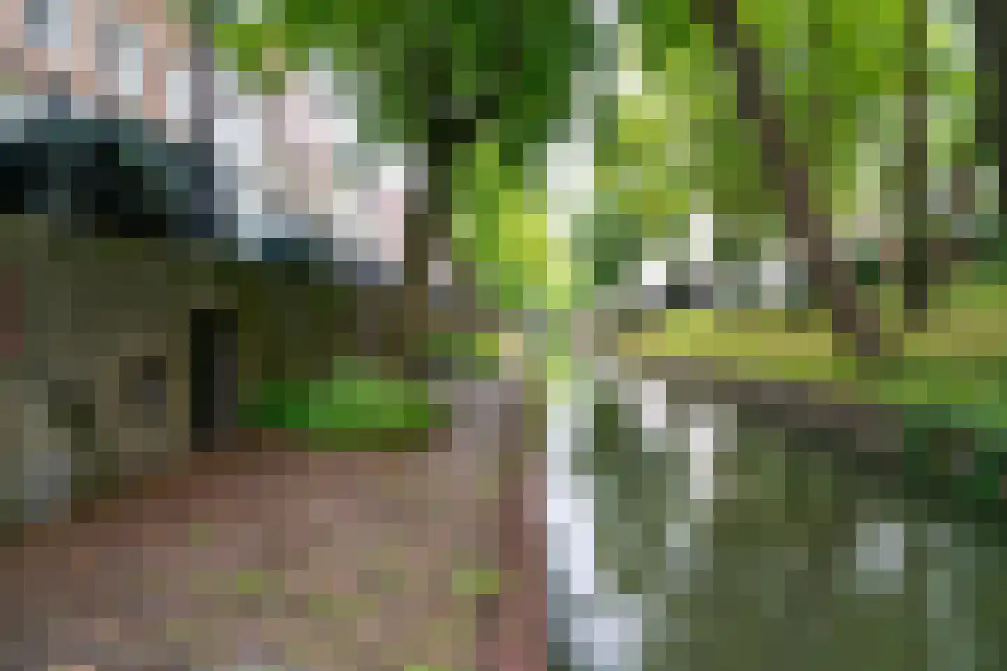 Eligenstraat 33 Utrecht thumbnail 56