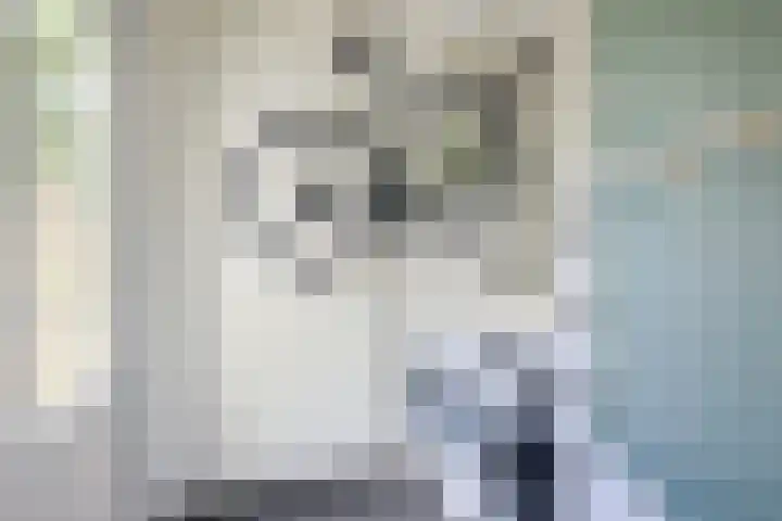 Eligenstraat 39 Utrecht thumbnail 21